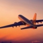 На рейсе Air India пассажиру "подали" живую ящерицу