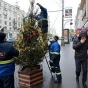 С елок в центре Москвы сняли несанкционированную мишуру