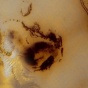 На Марсе найден гигантский «смайл» (ФОТО)