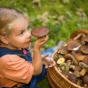 Чем опасны грибы для здоровья детей