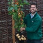 Британцы научились получать помидоры и картошку с одного куста (ФОТО)