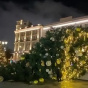 У Москві впала новорічна ялинка