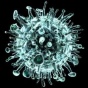 Американские ученые обнаружили две новых разновидности гриппа