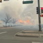 Лесной пожар в Колорадо уничтожил более тысячи зданий