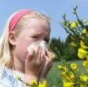 Чистота – причина аллергии