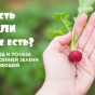 Весенние витамины: есть или не есть?