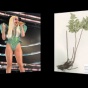 Новые виды папоротников назвали в честь Lady Gaga