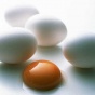 Украинский производитель яиц разместит свои акции на Лондонской бирже