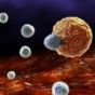 Новая вакцина от рака усиливает иммунитет