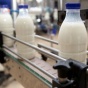 Присяжнюк: Украина нарастит экспорт молочной продукции за счет повышения ее качества