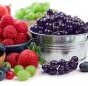 Врачи рассказали, чем нужно «кормить мозг»