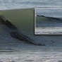 Гигантский крокодил-людоед терроризирует австралийские пляжи (ФОТО)