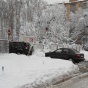 В Киеве зафиксировали рекордное налипание мокрого снега