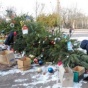 В одном из городов Киевской области упала главная елка