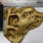 Найден золотой самородок весом более 6 кг (ФОТО)