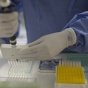 Вирус Зика: во Франции ограничили донорство крови