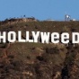 Любители марихуаны надругались над знаменитым знаком "Hollywood"
