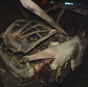 В Киеве во дворе полностью сгорела новая Mazda
