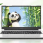 Colorful представила ігровий ноутбук Panda P15E: комплектуючі минулого покоління