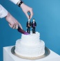 Креативный фотопроект: он женится на ... нем (ФОТО)