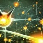 Электростимуляция мозга снизит, а не повысит IQ
