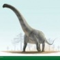 ТОП-5 самых маленьких и 5 самых больших динозавров (ФОТО)