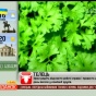 Шоколад викликає залежність, а капуста містить опіати