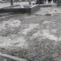 В Киеве сносят МАФы у станций метро