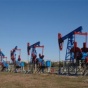 Британка случайно прикупила половину нефтяной компании