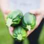 В ЕС рассмотрят вопрос увеличения квот на украинскую продукцию