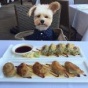 Трогательная история бродячего пса, который теперь ходит по лучшим ресторанам (ФОТО)