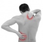 Травмы спины вылечат стволовыми клетками
