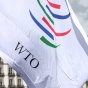ВТО требует нового расследования украиских спецошлин на иномарки
