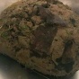 Люди нашли клубок глины, который дышал (ФОТО)