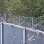 За два дні понад 600 нелегалів намагалися потрапити в Польщу з Білорусі