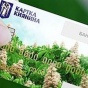 Карточку киевлянина можно будет получить через банк
