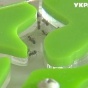 Экзотическое хобби: киевлянин выращивает и продает муравьиные фермы