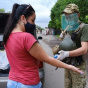 В Бразилии количество случаев коронавируса превысило три миллиона