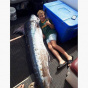 В Новой Зеландии мальчик поймал гигантскую рыбу вдвое тяжелее себя (фото)