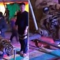 Ужасы китайского цирка: как делают фотографии с тигром (ФОТО)
