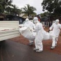 Вчені з'ясували, від кого і як найперша жертва Ебола заразилась вірусом