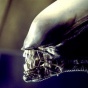 3-D фильмы полились рекой - теперь хотят снять два стерео-приквела "Чужого"