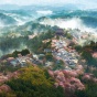 Фотоподборка дня: весна в Японии
