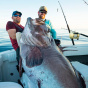 Американские рыболовы поймали огромного окуня длиной больше человеческого роста