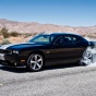 Chrysler попросил не ездить на Dodge Challenger