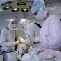 Хирурги удалили орган через пупок