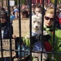 В Киеве проходит митинг за цирк без животных