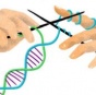 Можно ли контролировать свои гены?