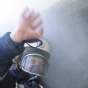 В лесах возле Киева появятся места для пикников