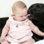 Атопический дерматит у ребенка: собака как мера профилактики